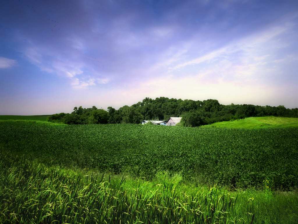 Farmland 4 Stutsman County, North Dakota. Thank you to eve… Flickr