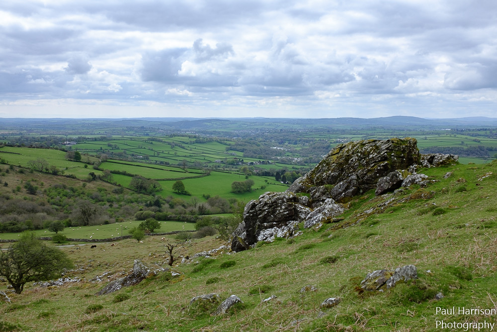 100S9960 K4 Paul Harrison Flickr