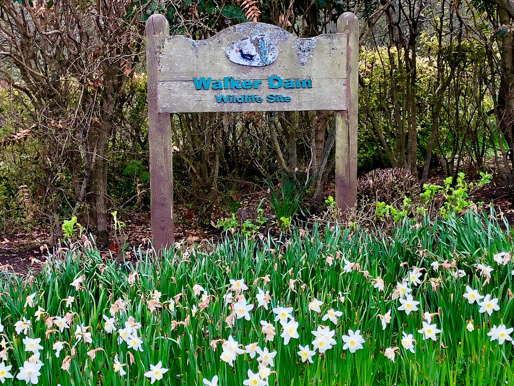 Walker Dam Aberdeen Scotland 3/5/2018 The Walker Dam … Flickr