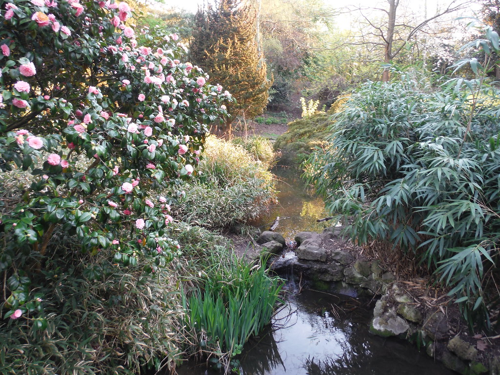 Stream in Japanese Garden (Peckham Rye Park) SWC Short Wal… Flickr