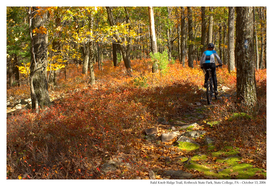 Bald Knob Ridge Trail, Rothrock State Forest Jonas Nockert Flickr
