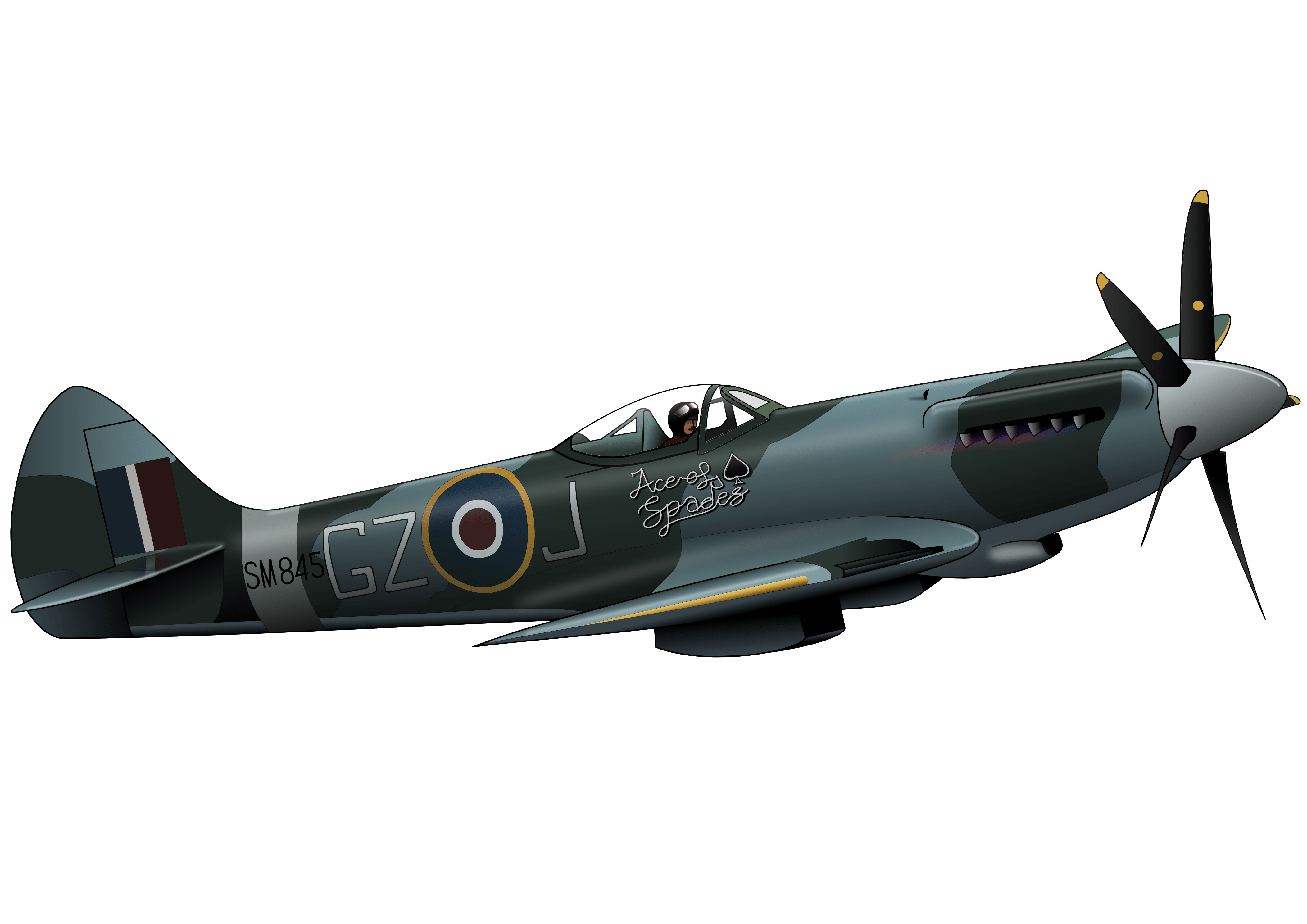 WT Live // Images by WAVE_SIX