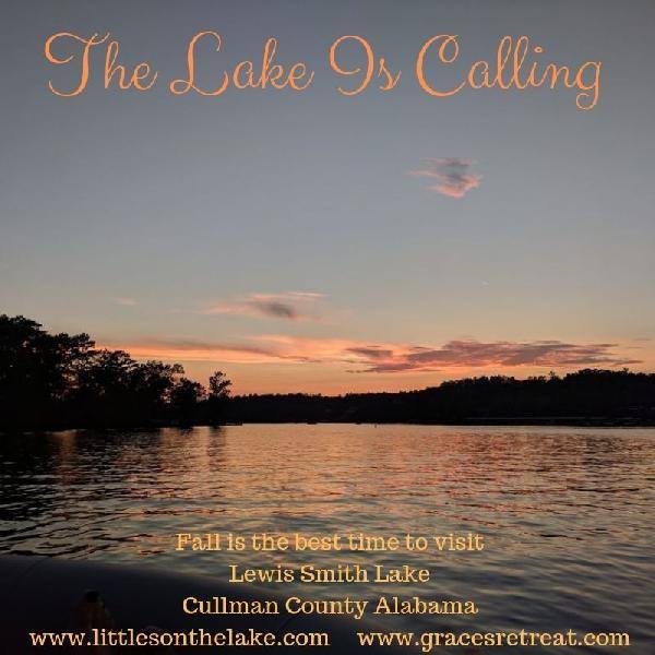 Live 95 FM 95.5 FM WRJMLP Cullman Alabama