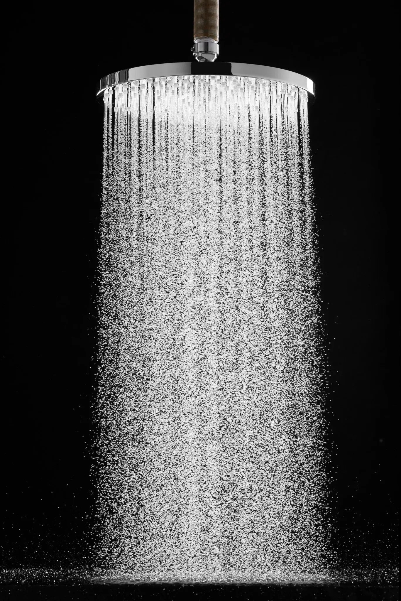 Hansgrohe Shower Head PowderRain Spray Mode ACo