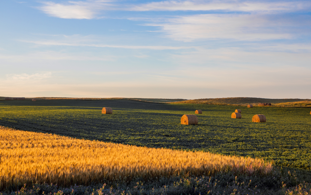 A Chinese firm has just bought a North Dakota farm near US Air Force