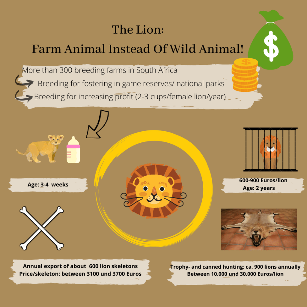 Finally South Africa's government takes further steps towards lion