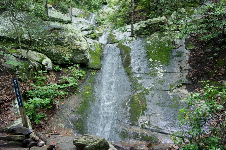 Blue Suck Falls Loop and Tuscarora Overlook (Douthat State Park, VA) Live and Let Hike