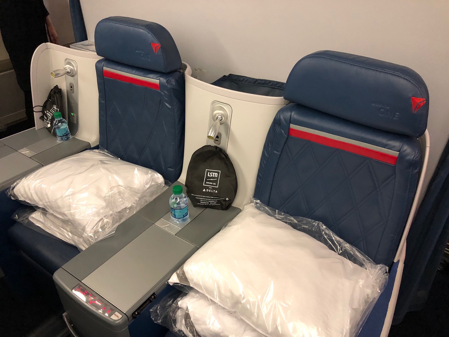 Delta First Class Meal Review: Seared Beef Chuck Steak