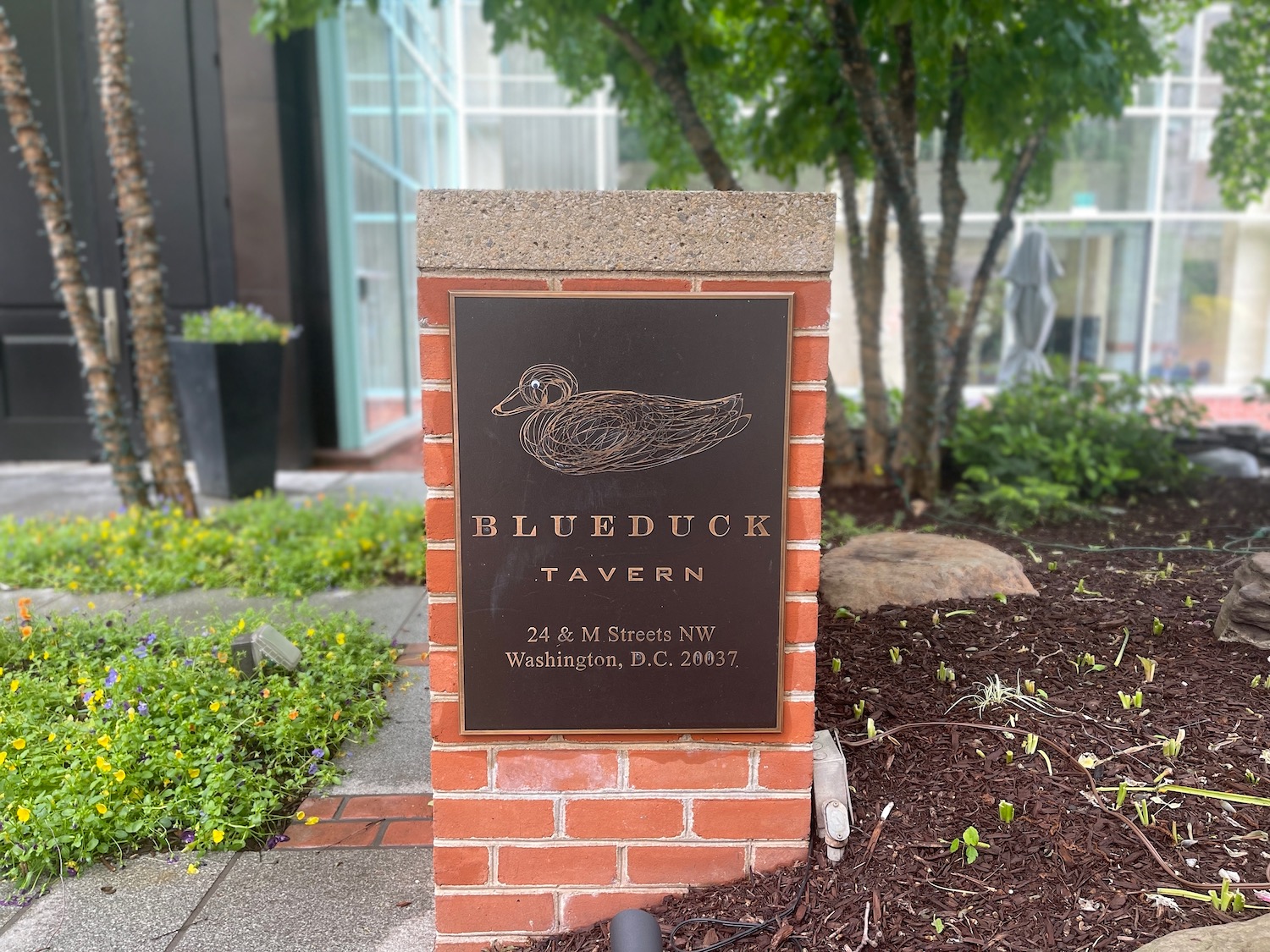 Dinner At Blue Duck Tavern Washington, DC Live and Let's Fly