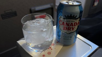 美國航空的航班顛簸但服務順暢 美國航空的航班顛簸但服務順暢