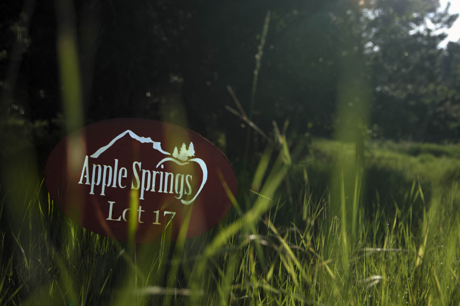 Whitetail Ridge Live Apple Springs Black Hills, SD