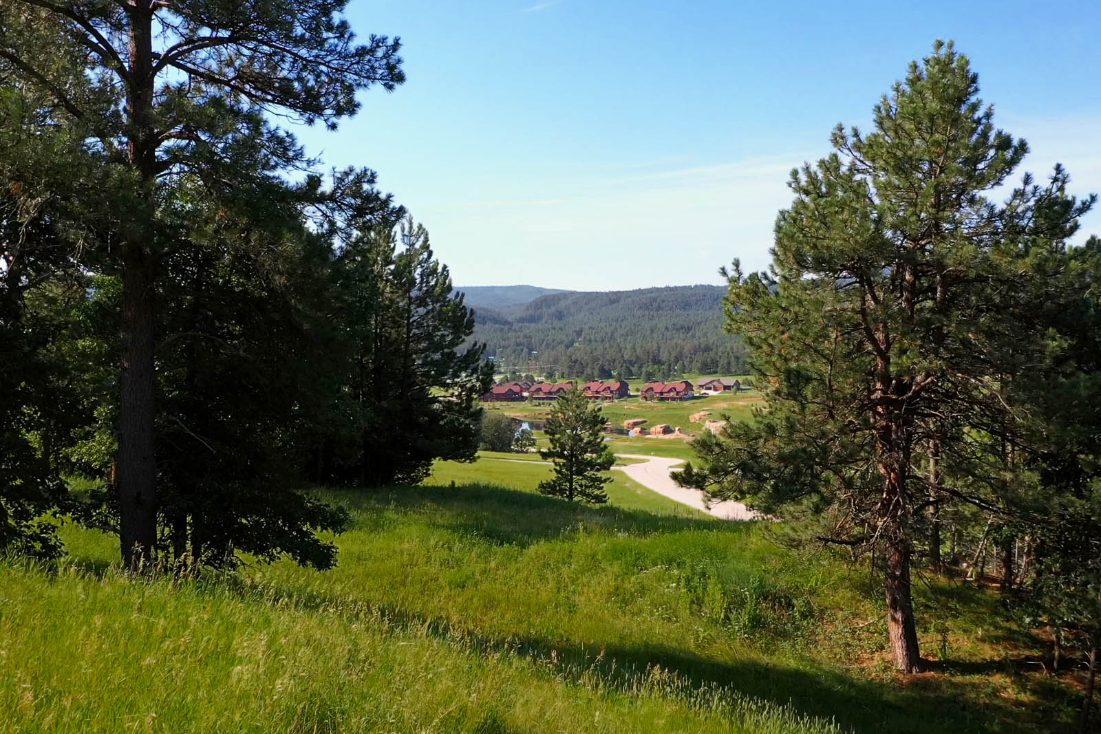 Whitetail Ridge Live Apple Springs Black Hills, SD