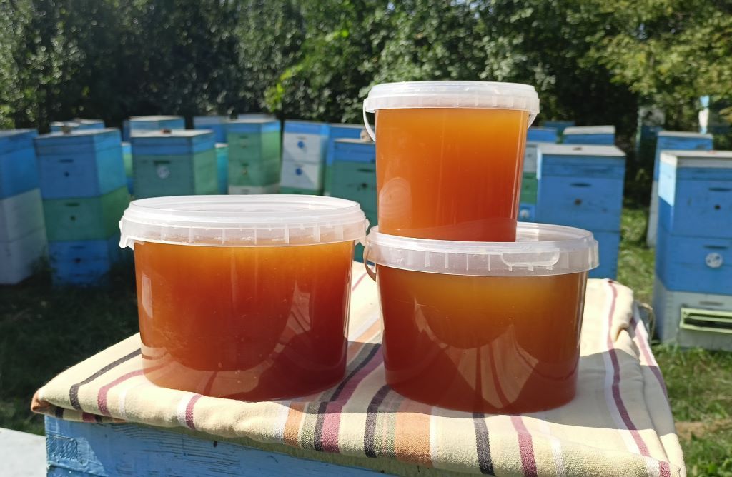 Analytical study of the honey market in 2022