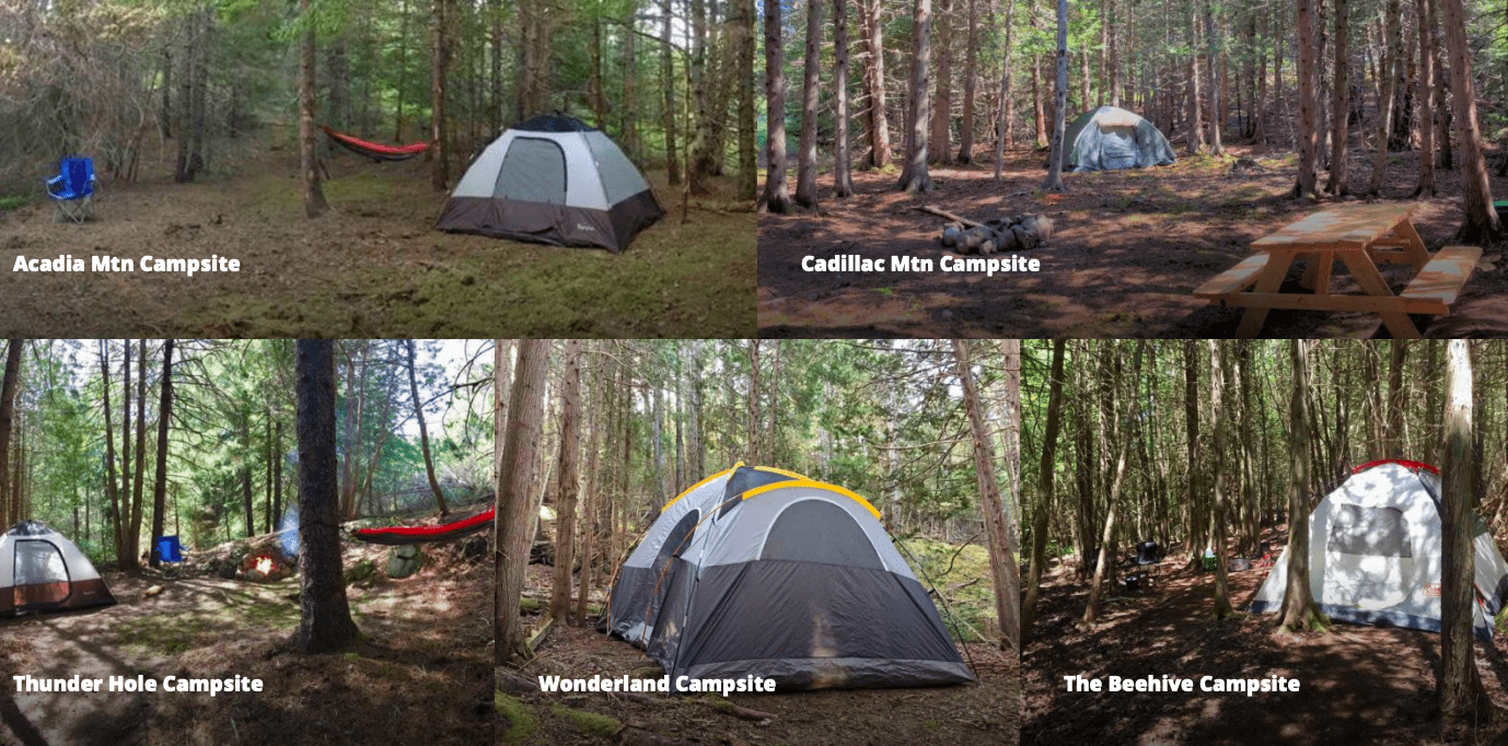 Camping in Acadia National Park » Live Camp Work