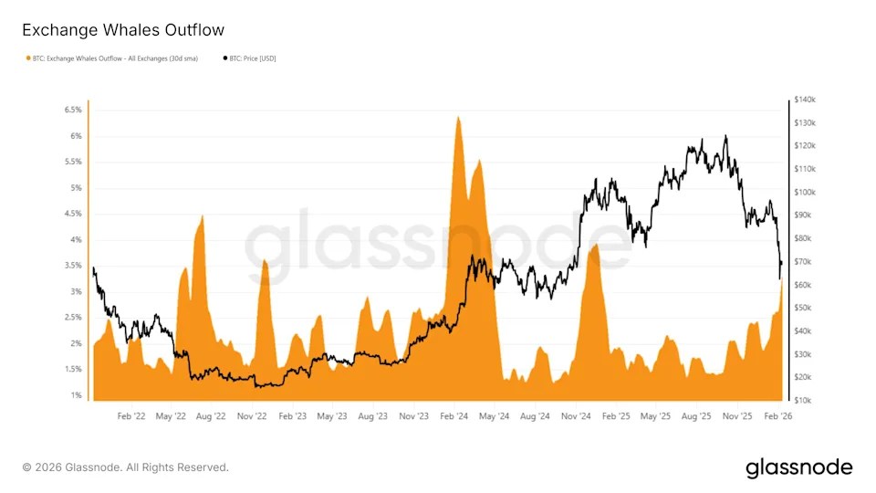Les baleines reviennent à l'achat de Bitcoin après une baisse de 40 % et contribuent à contenir la chute Les baleines reviennent à l'achat de Bitcoin après une baisse de 40 % et contribuent à contenir la chute