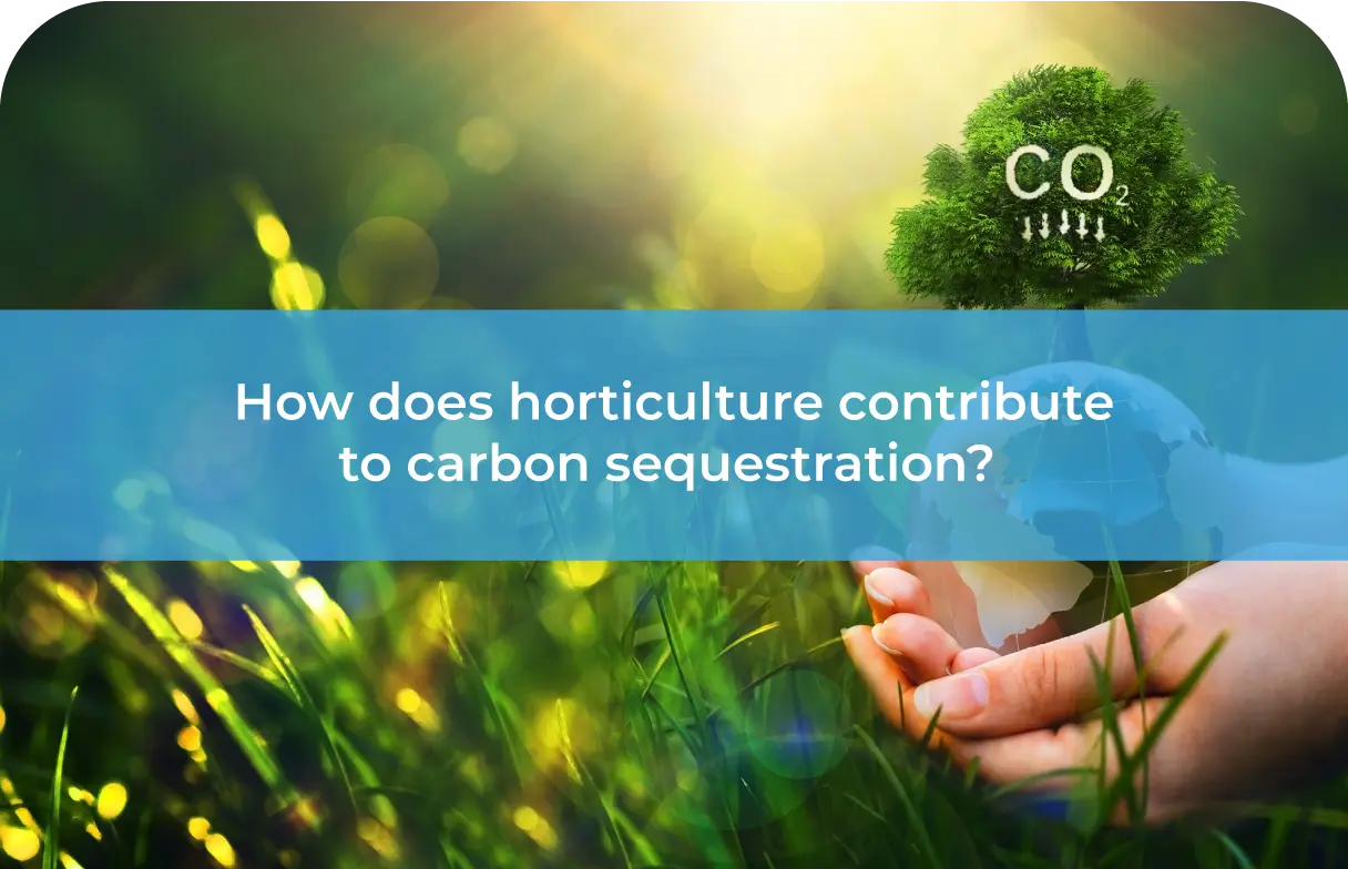 Horticulture and Carbon Sequestration