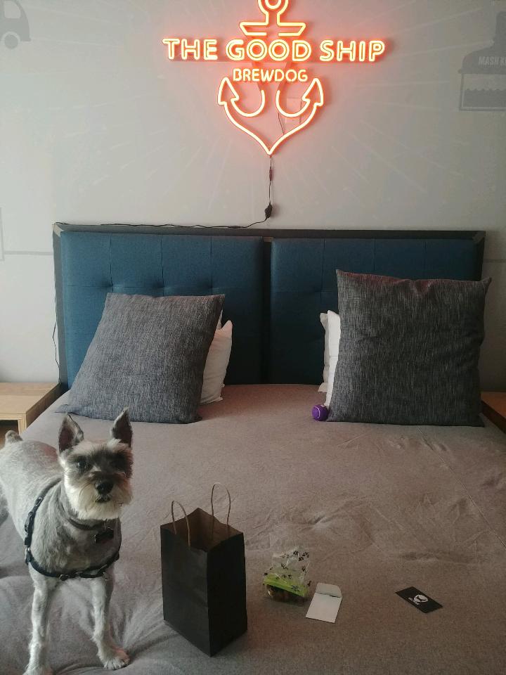THE DOGHOUSE 2019; A BrewDog Brewery & Hotel (Columbus, OH) LiveGagLove