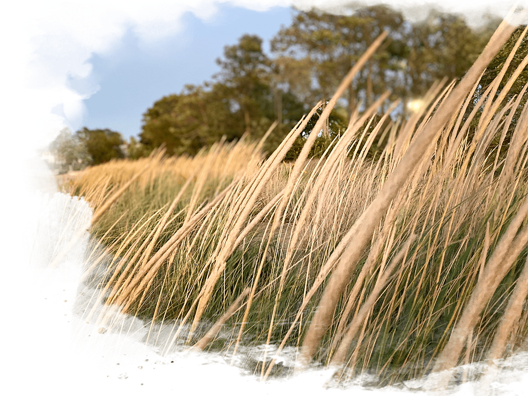 Featured Property in Keyport Live In Keyport Premier Real Estate in