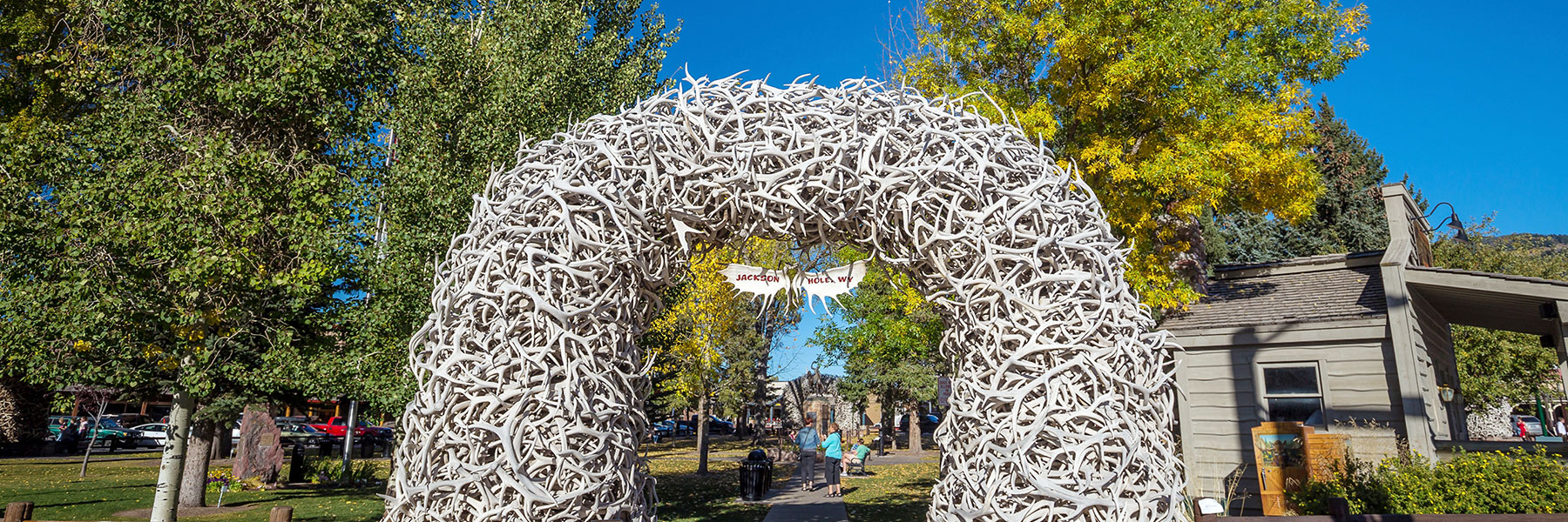 The Arts of Jackson Hole