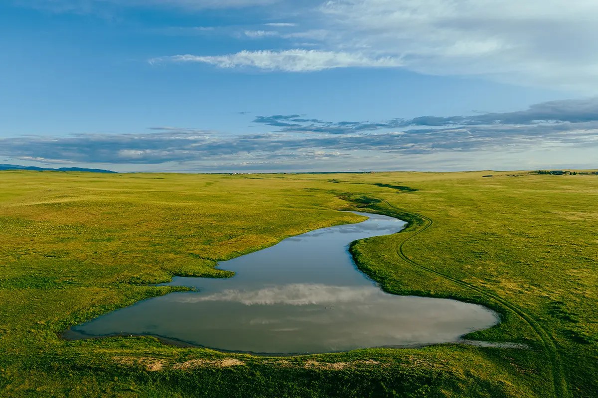Powderhorn Ranch Live Jackson Hole