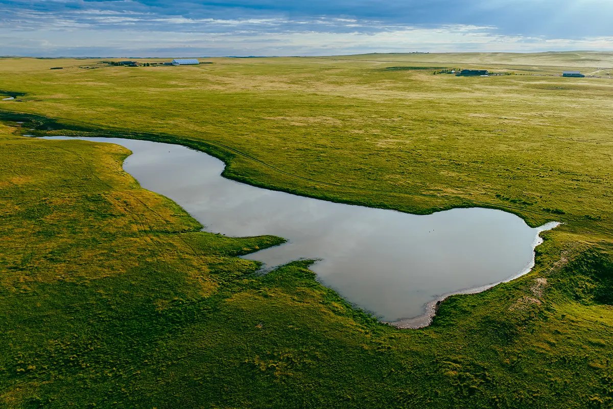 Powderhorn Ranch Live Jackson Hole
