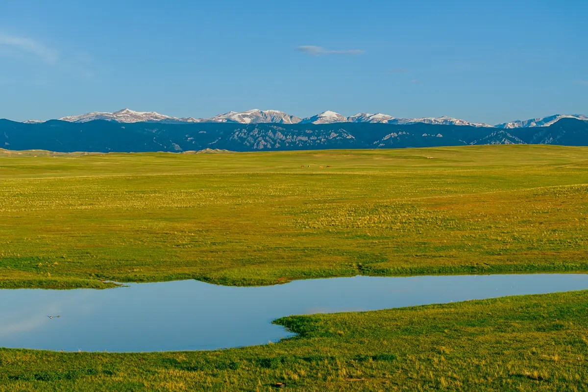 Powderhorn Ranch Live Jackson Hole