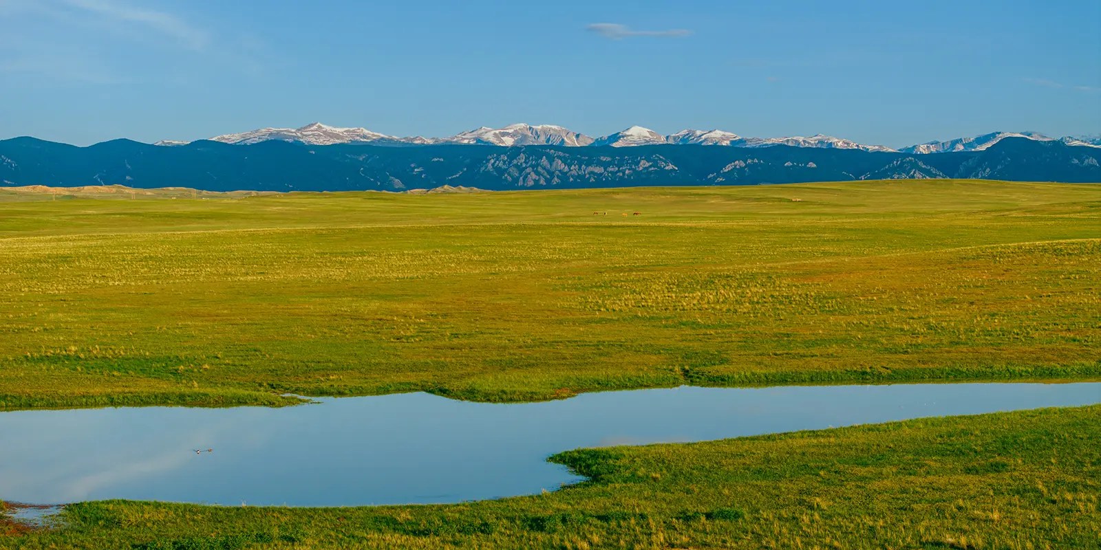Powderhorn Ranch Live Jackson Hole