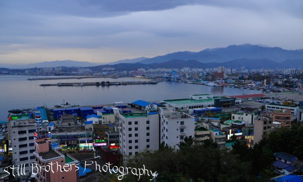 _DSC7256