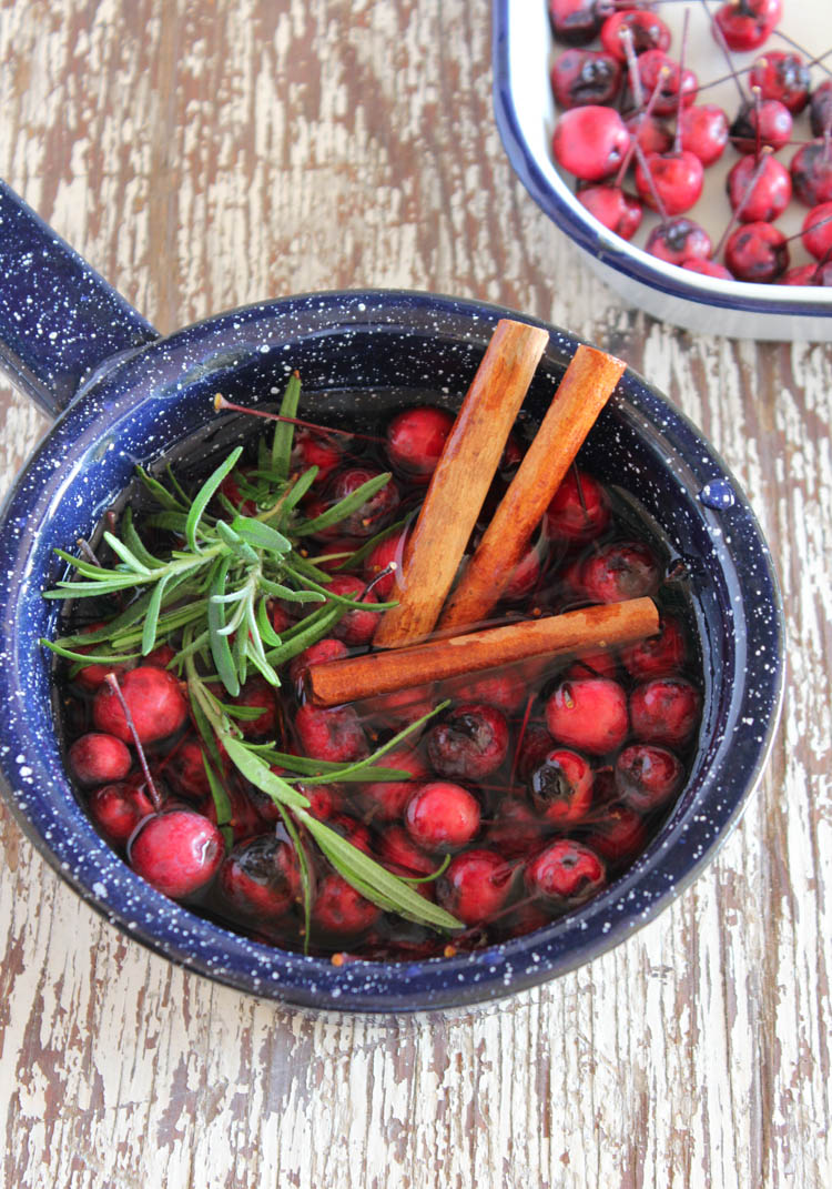 19 Easy Stovetop Potpourri Recipes for Fall Live Like You Are Rich