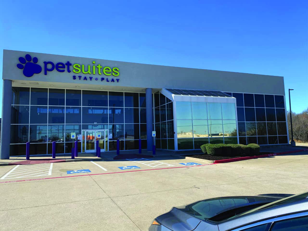 Quality Pet Care Pet Suites Business Spotlight Live Local Magazines