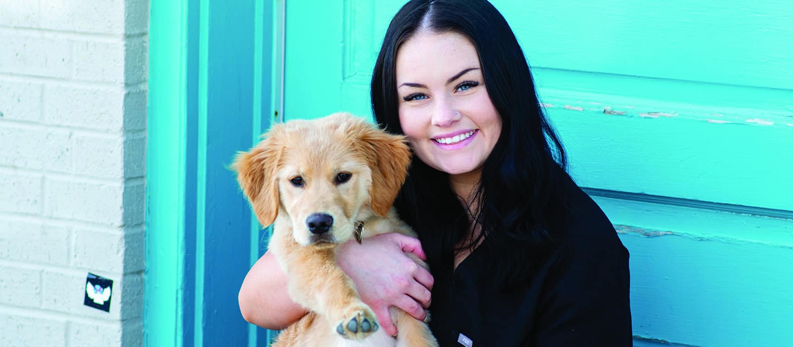 Affordable & Quality Pet Care Live Local Magazines