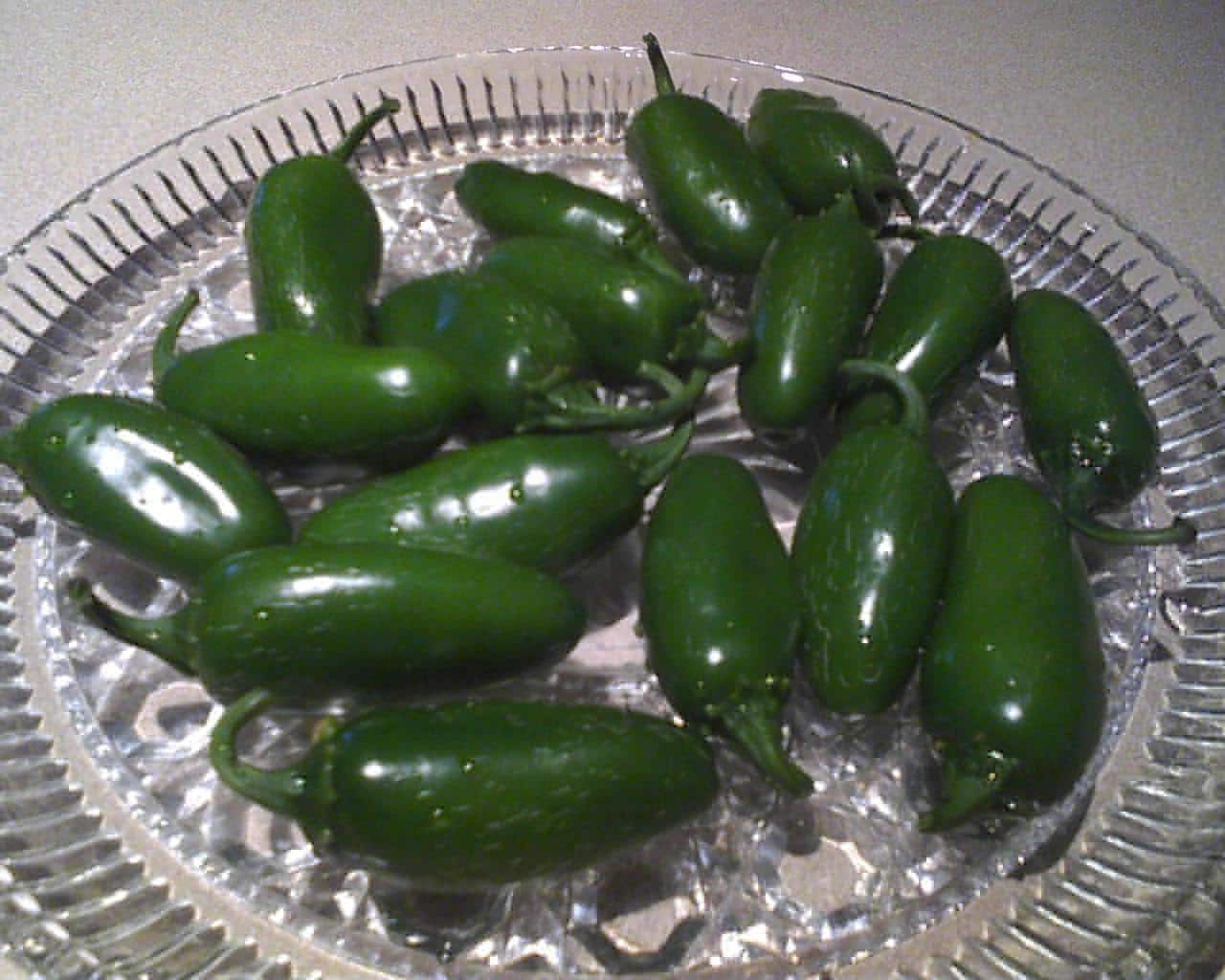 Growing Jalapenos and Other Peppers From Seed Live Love Garden