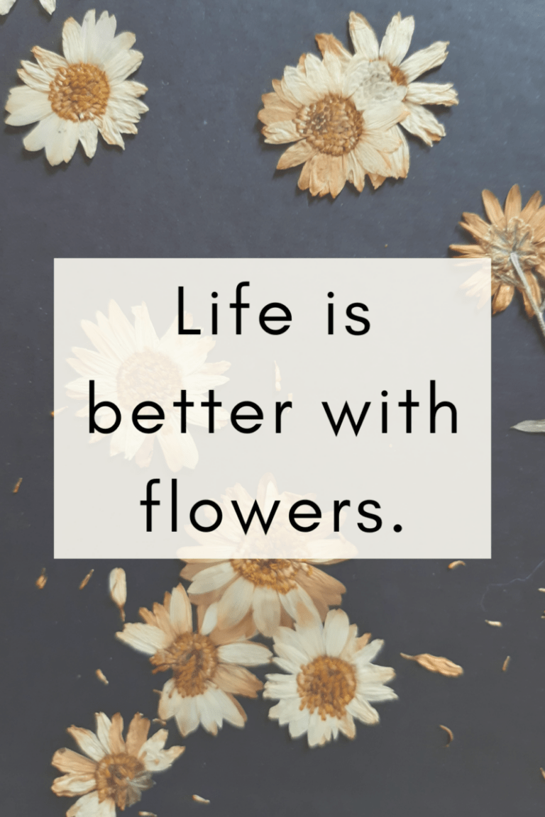 550 Flower Quotes and Flower Captions livelovequote