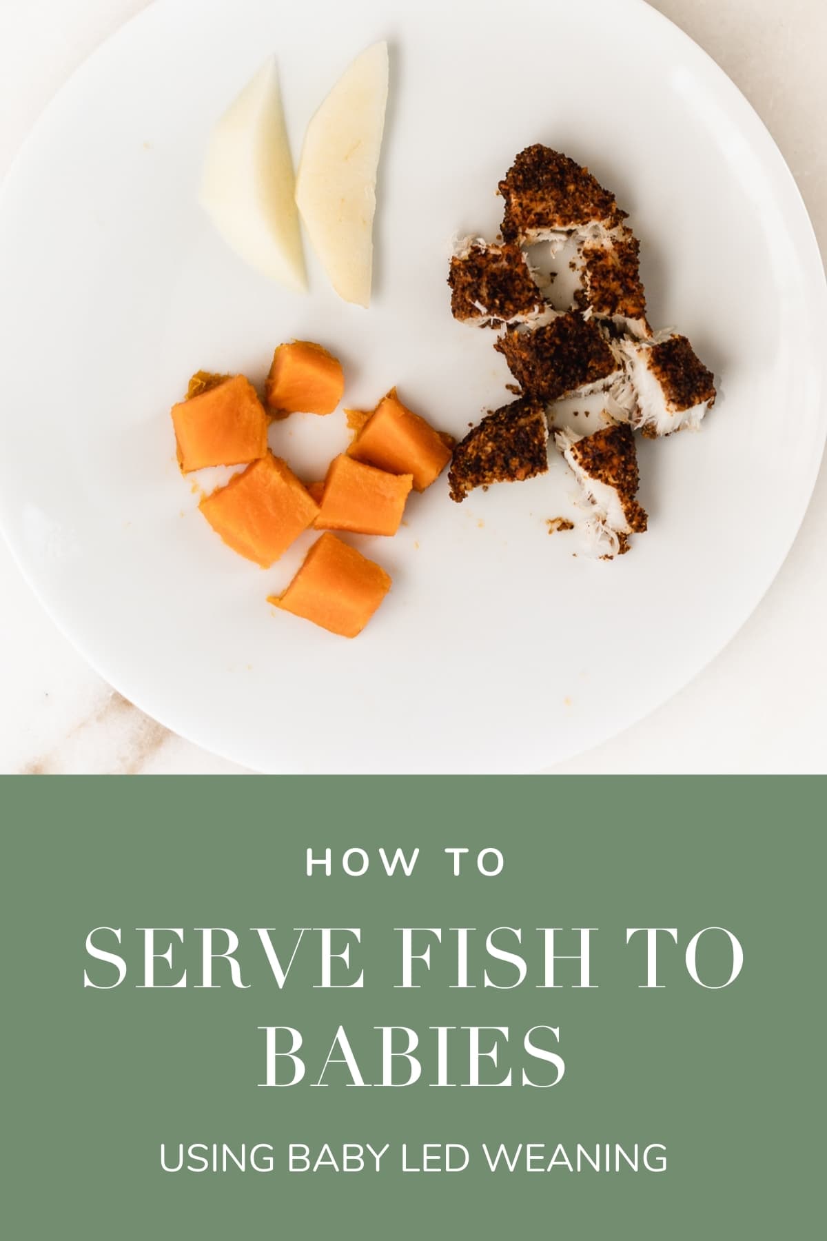 Baby's First Foods Fish Lively Table