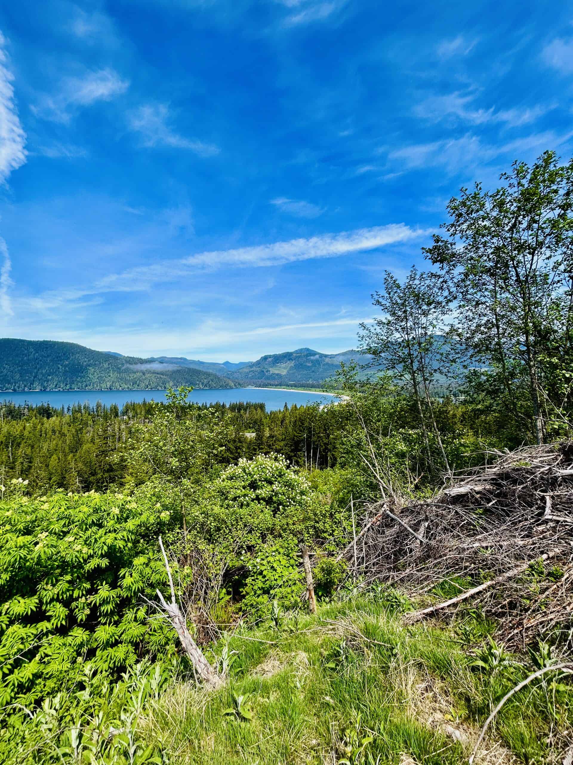 Vancouver Island Land for Sale Land For Sale Port Renfrew Find Your Dream Property Today 1