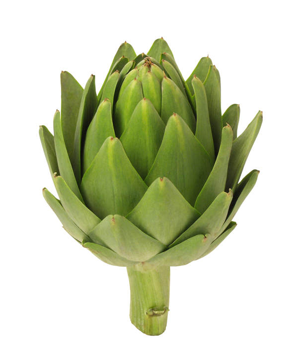 Artichokes Help an Ailing Liver Livers With Life