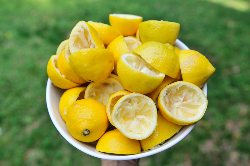 Ingredient of the Season Lemons!