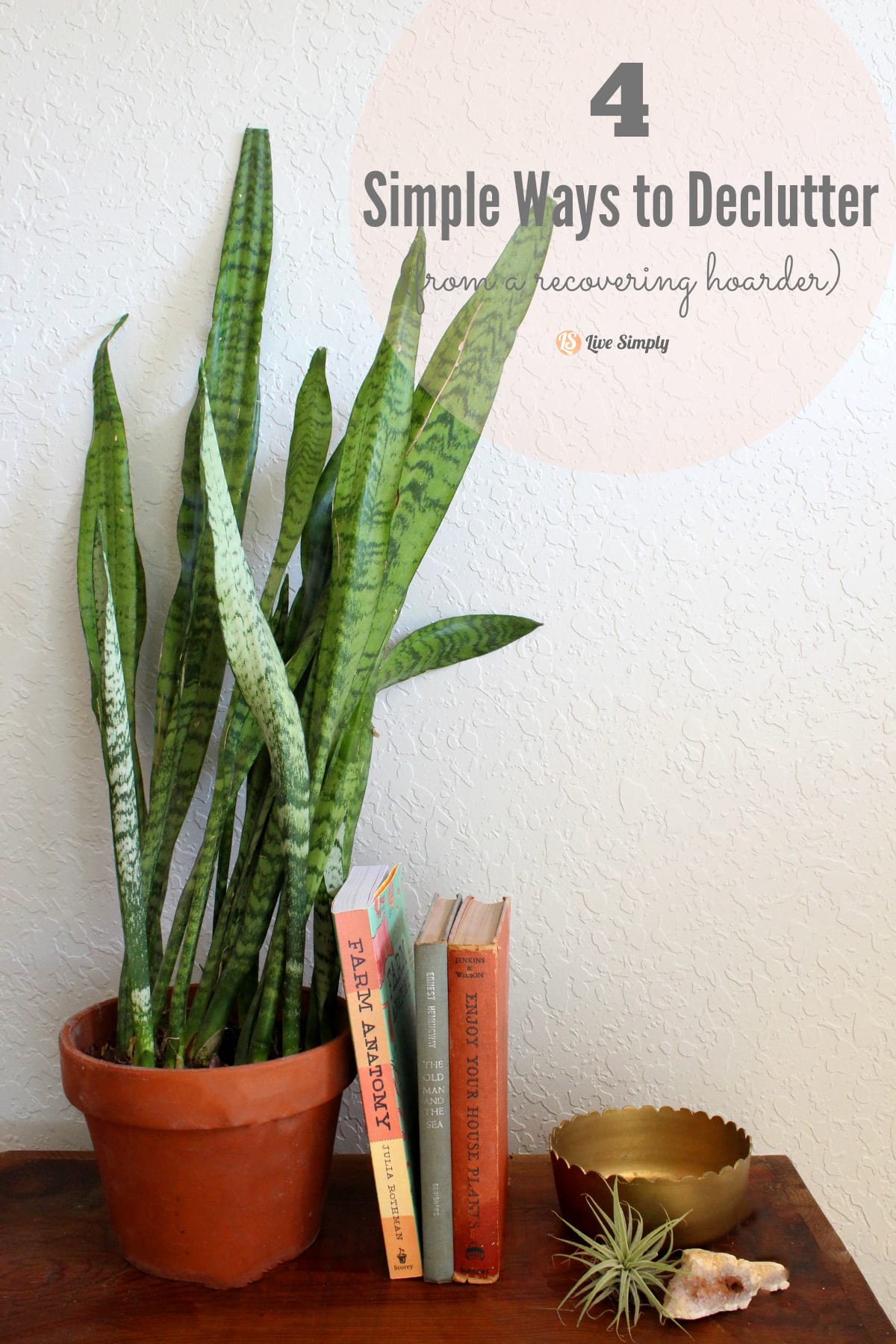 4 Simple Ways to Declutter (from a Recovering Hoarder) - Live Simply