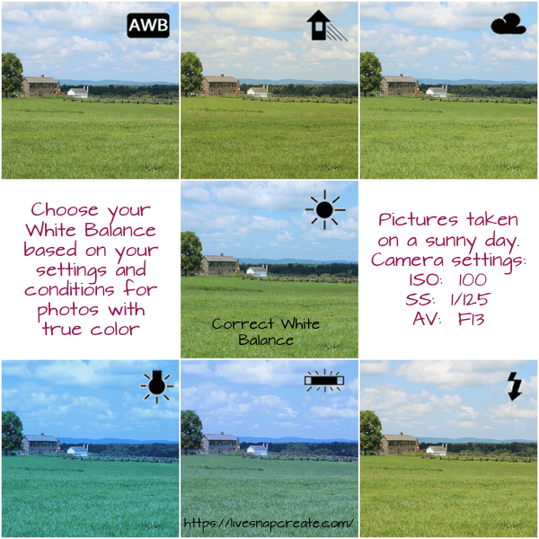 How to Set White Balance Live Snap Create