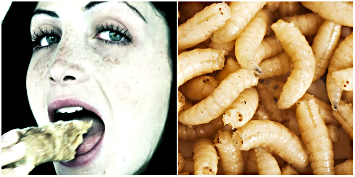 Here’s Why These 3 Strange Foods Are Banned In The United