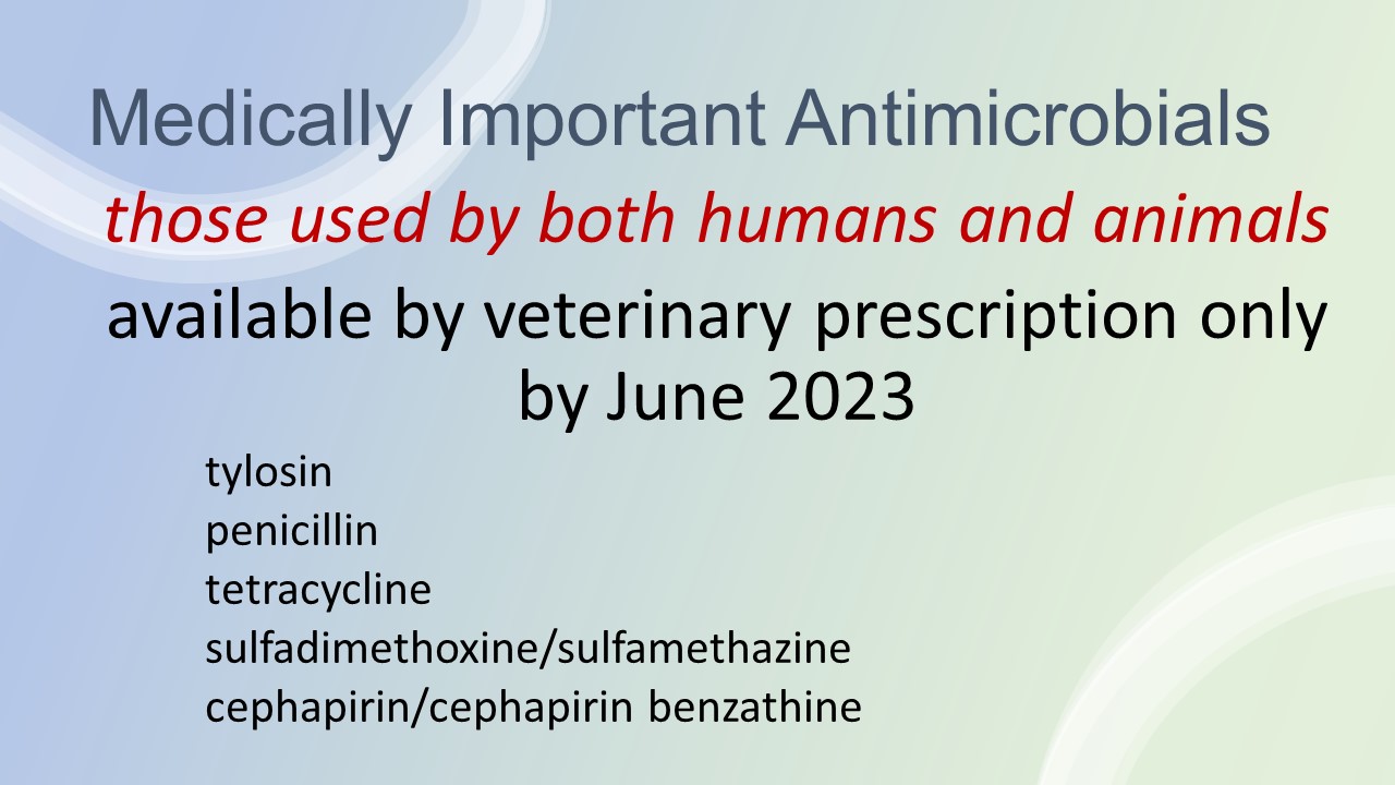 Top 117 + Why are antibiotics used in animals