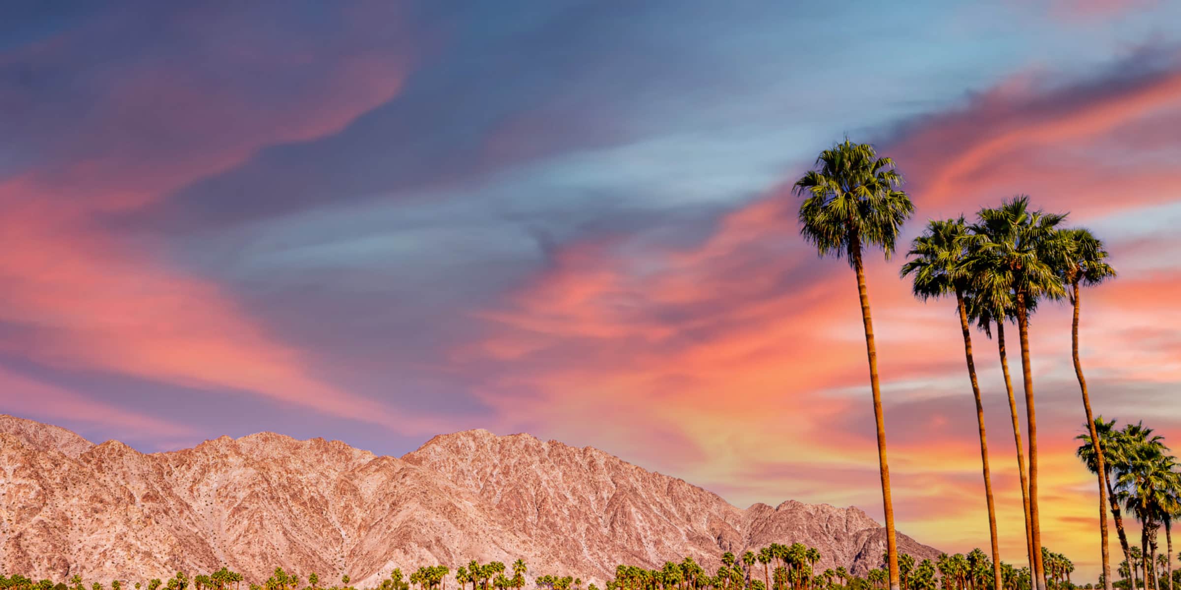 The Best Photo Spots in Palm Springs Livestock Framing