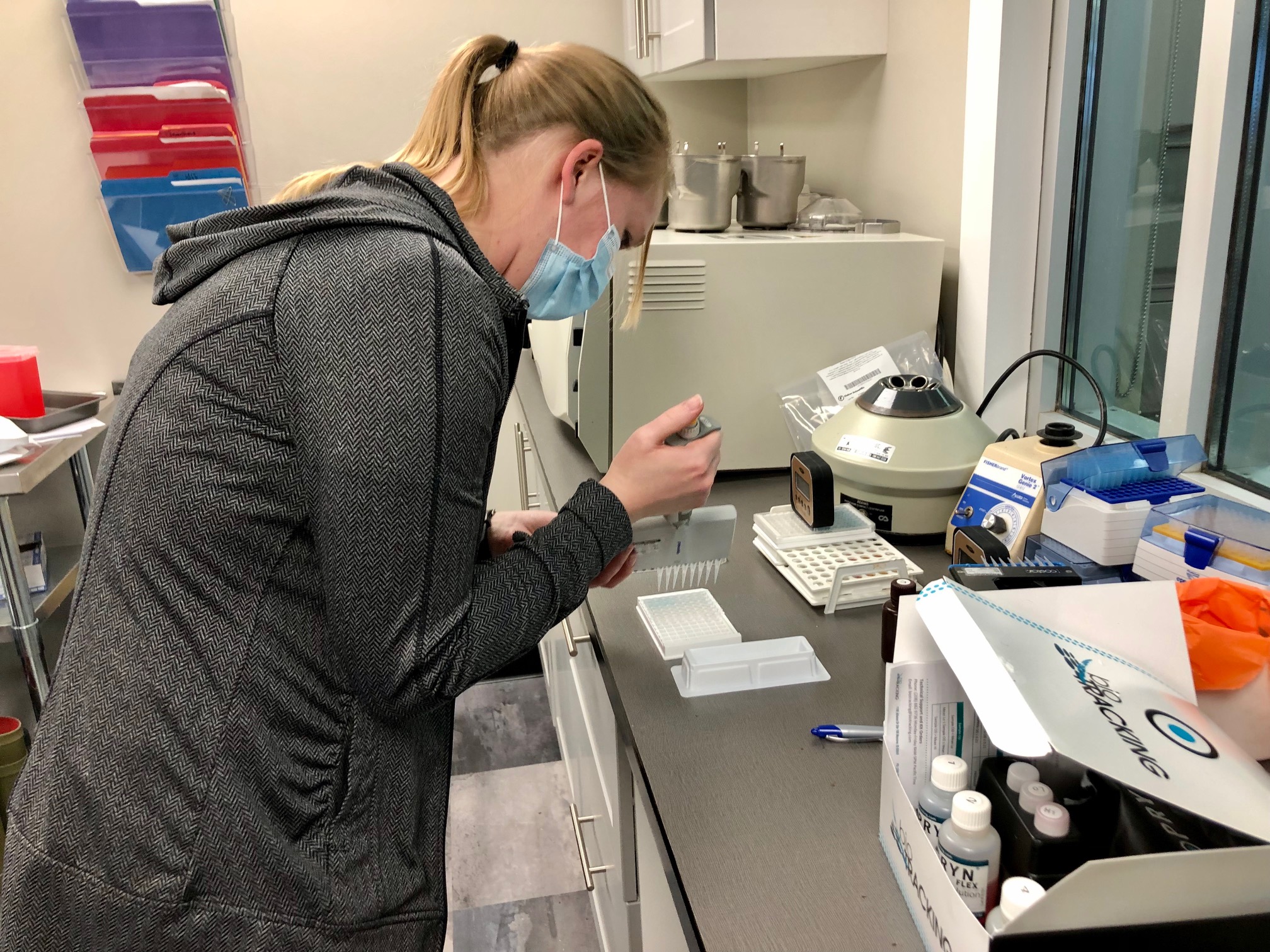 Laboratory Services Livestock Veterinary Services