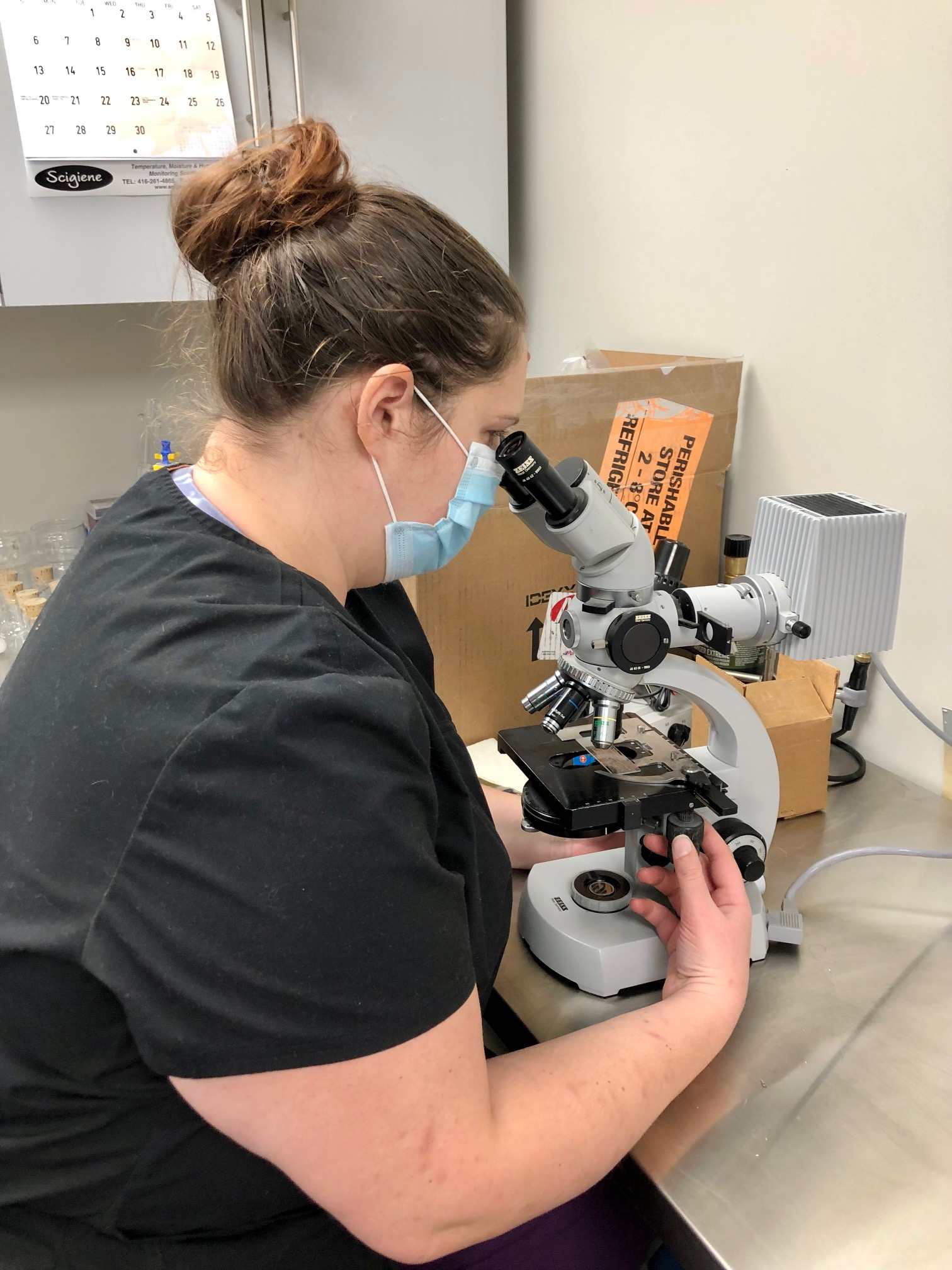 Laboratory Services Livestock Veterinary Services