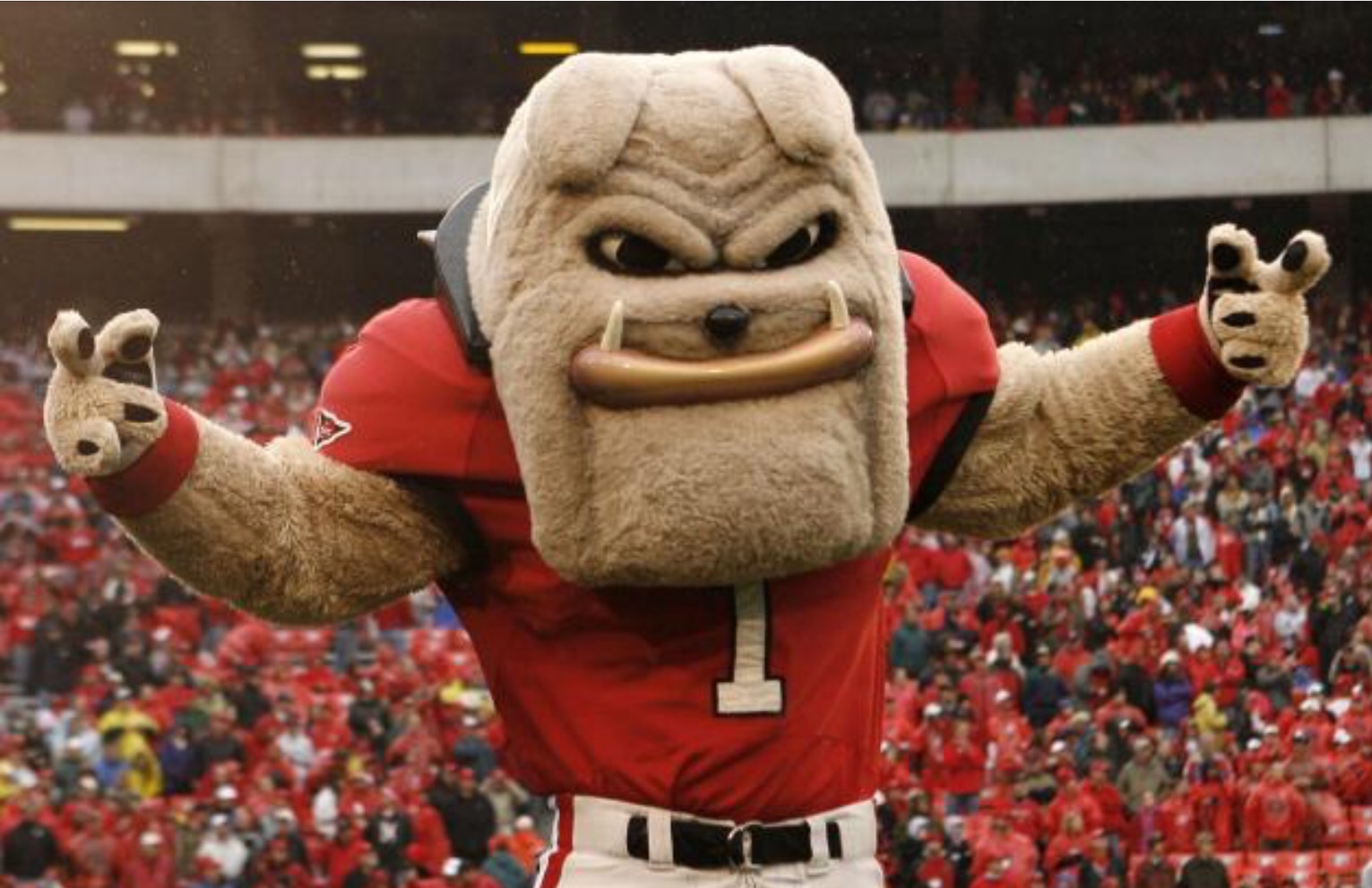 A Dawg Dish Best Served Cold. Live Talking Monkey