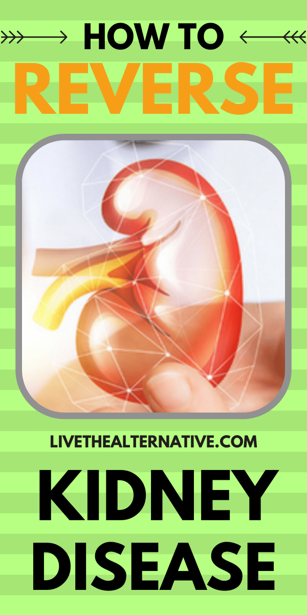 What Is The Best Thing To Drink For Your Kidneys? Live The Alternative