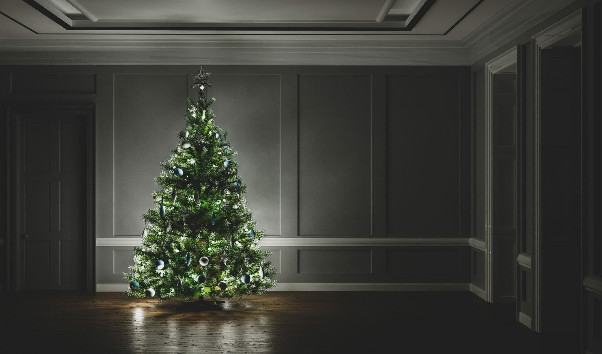 Tips for Disposing Live Christmas Trees for Apartment Dwellers