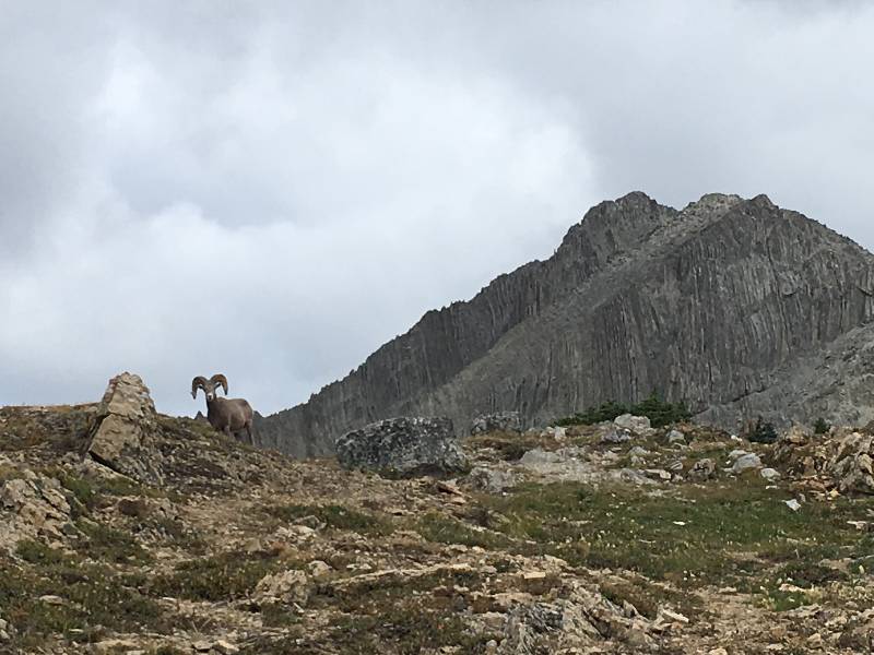 Mount Cory 1 Bewertungen