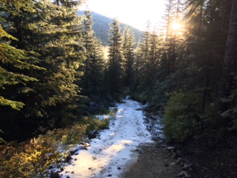 Eagle Bluff Trail & Black Mountain 1 Bewertungen