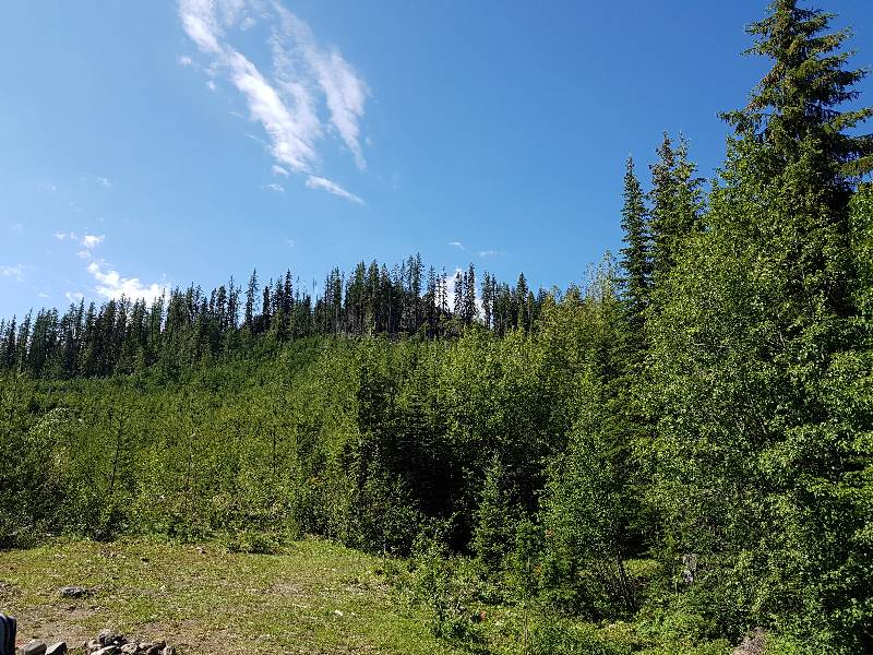 Denison Lake 1 Reviews